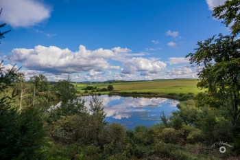 Eichholzmaar