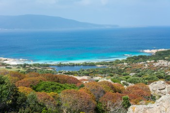 Asinara National Park