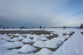 Brackvenn im Winter