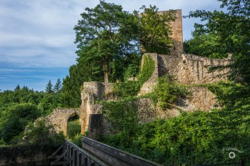 Burgruine Burg Hardtburg