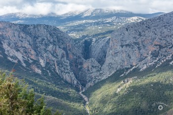 Blick auf die Schlucht Gola di Gorropu / Sardinien